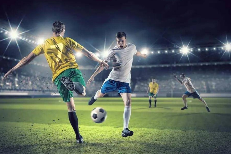 理安排国际 理安排国际