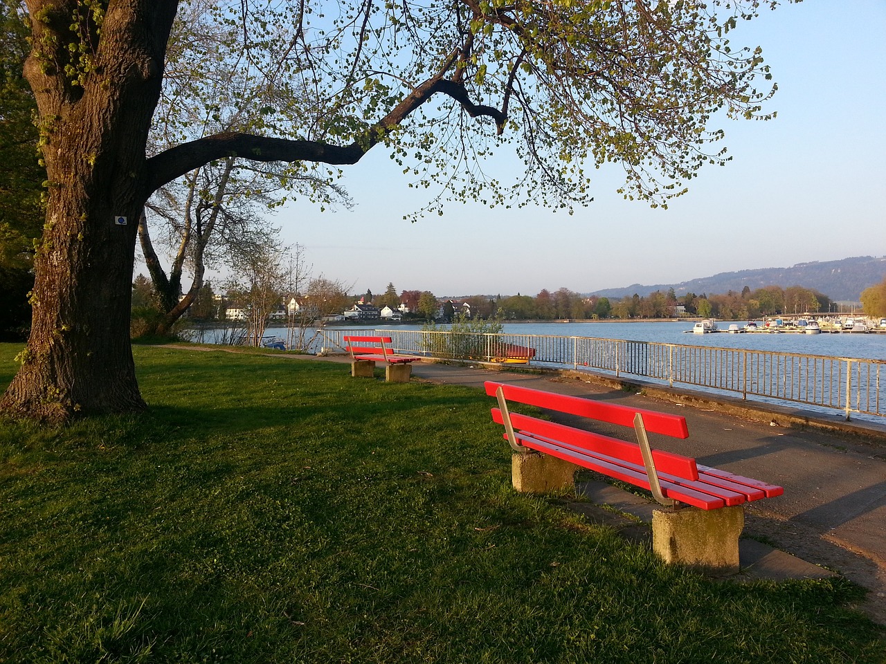 萨的战术体 萨的战术体