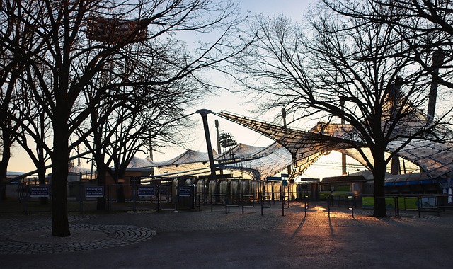 艾维有望更 艾维有望更