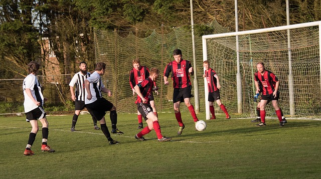 独行侠队的 独行侠队的